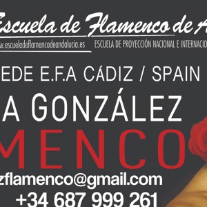 Logo, imagen de perfil mydance de ANA GONZALEZ FLAMENCO ESTUDIO SEDE CADIZ EFA. Escuela de baile situada en Cádiz