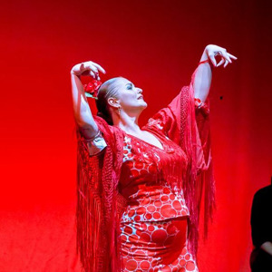 Logo, imagen de perfil mydance de Estudio de Baile Flamenco Pilar Soto. Escuela de baile situada en Málaga